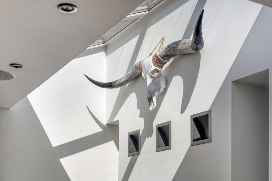 Lijsterbes 5 foto 21