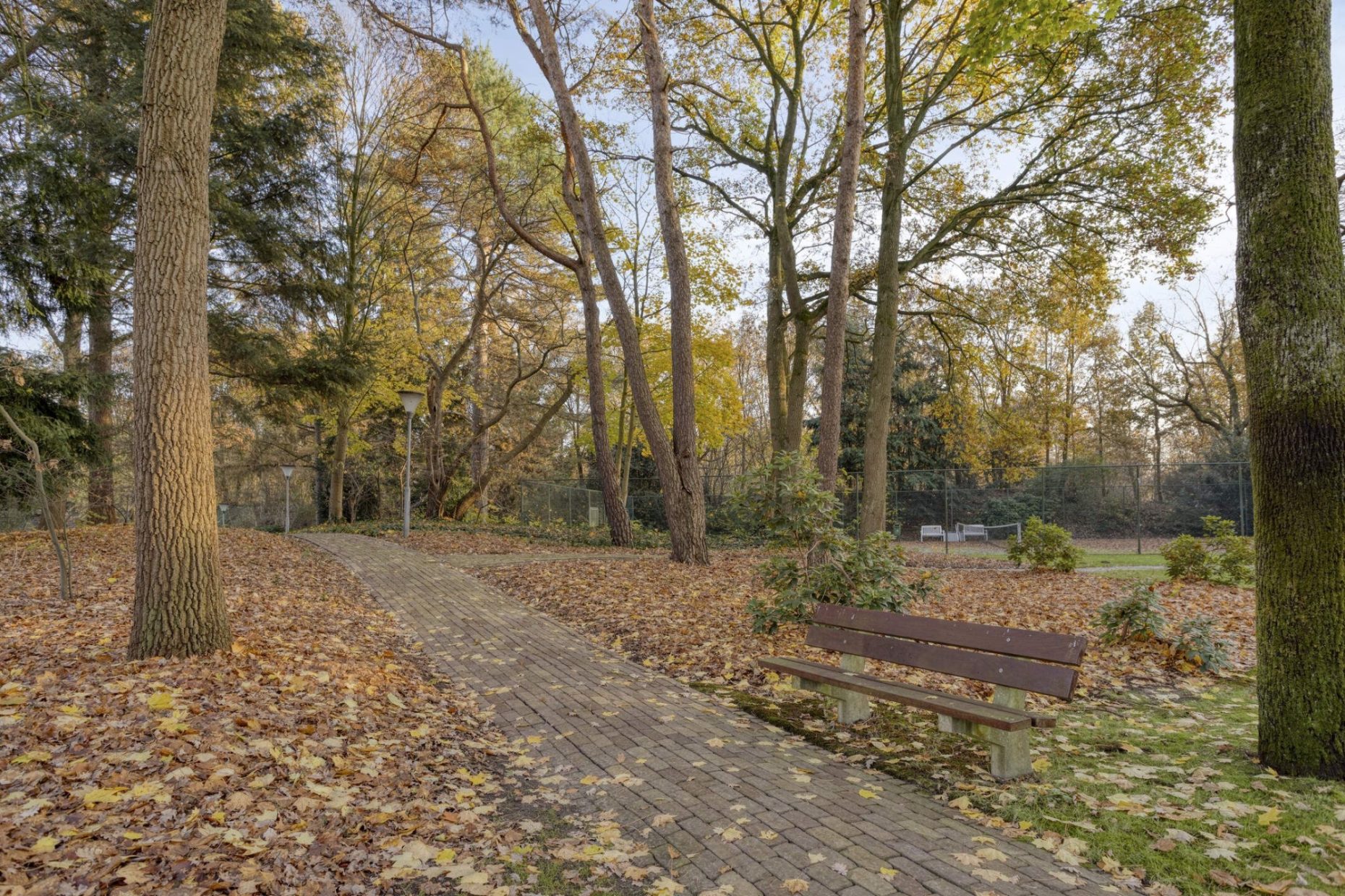 Javalaan 109 foto 75