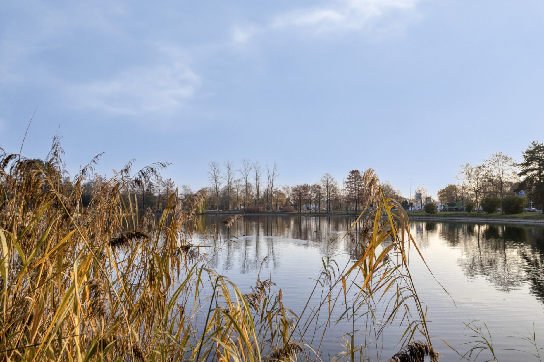 Javalaan 109 foto 80