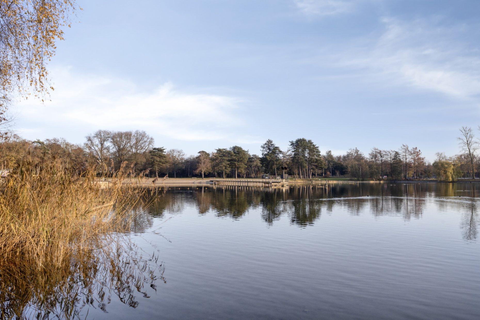 Javalaan 109 foto 81