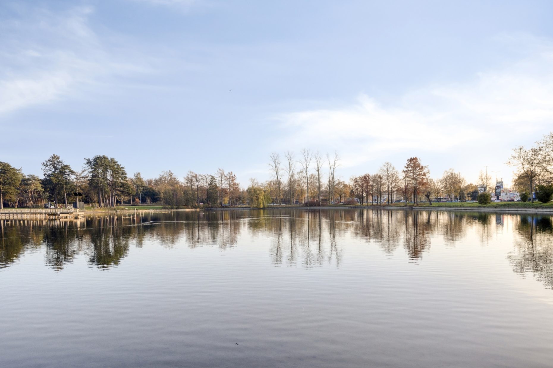 Javalaan 109 foto 82