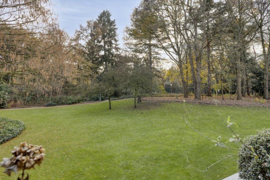 Javalaan 109 foto 41