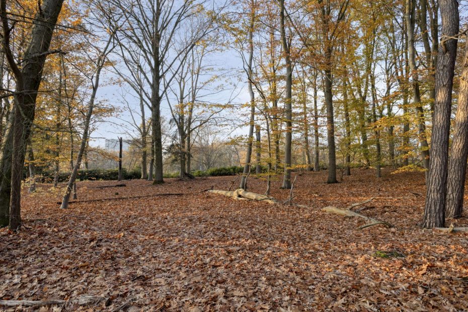 Javalaan 109 foto 79