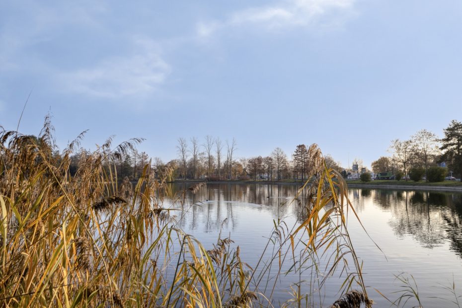 Javalaan 109 foto 80