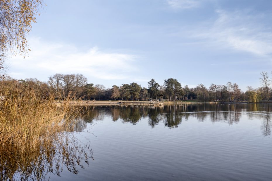 Javalaan 109 foto 81