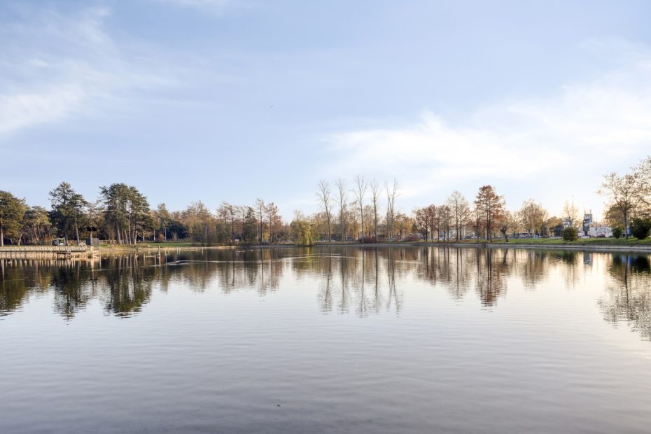 Javalaan 109 foto 82