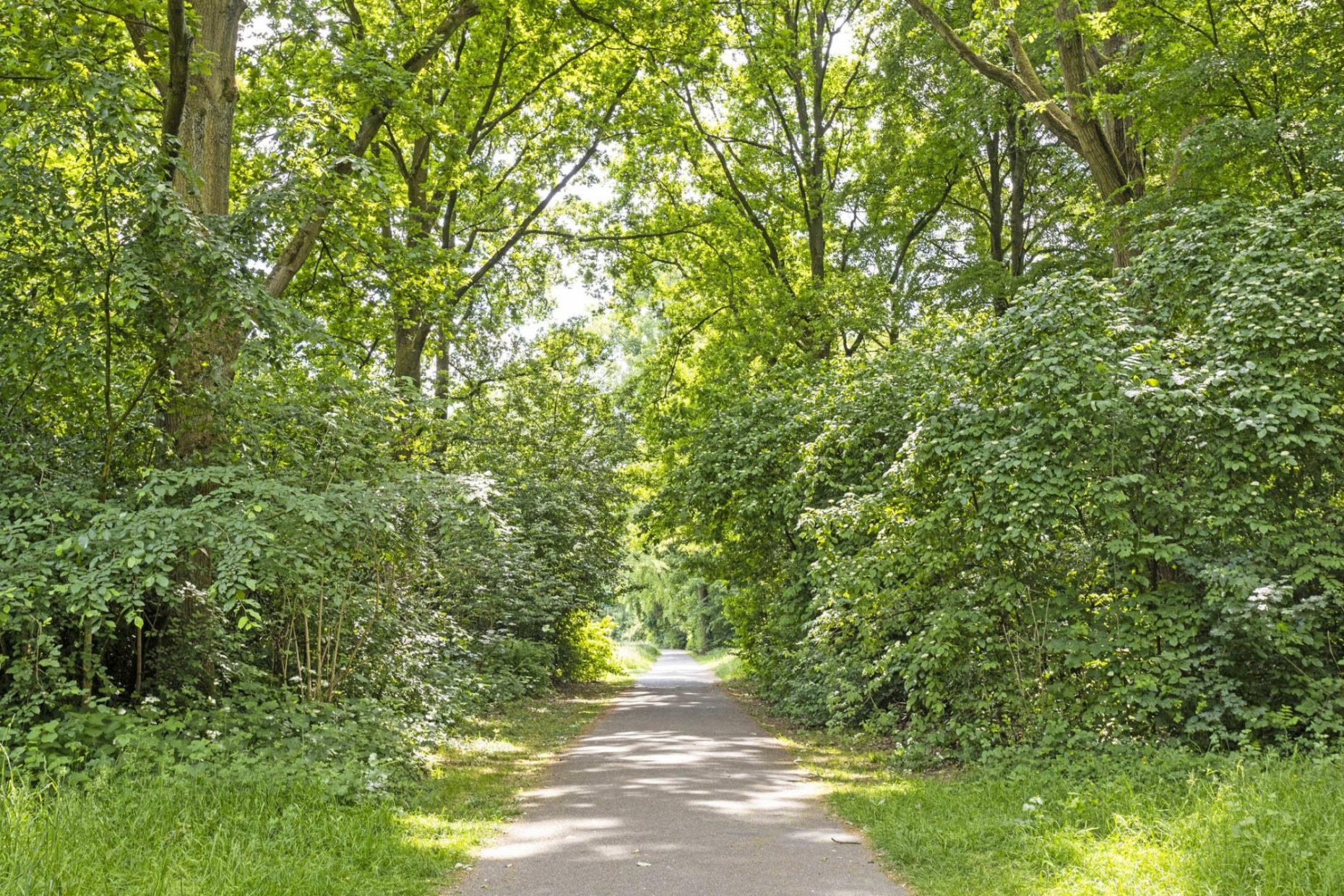 Baarle Hertoglaan 65 foto 25
