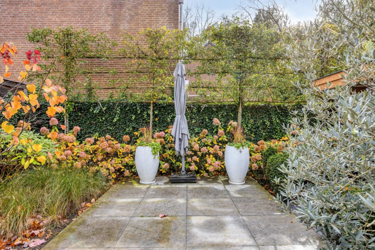 Provencehof 15 foto 44