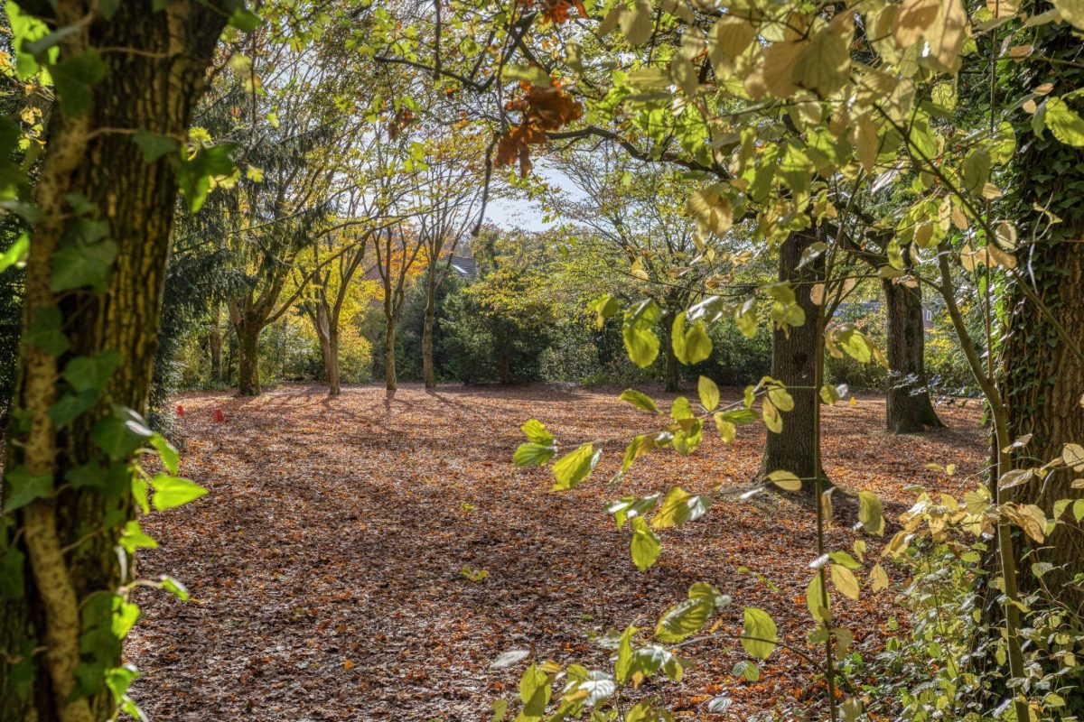 Provencehof 15 foto 55