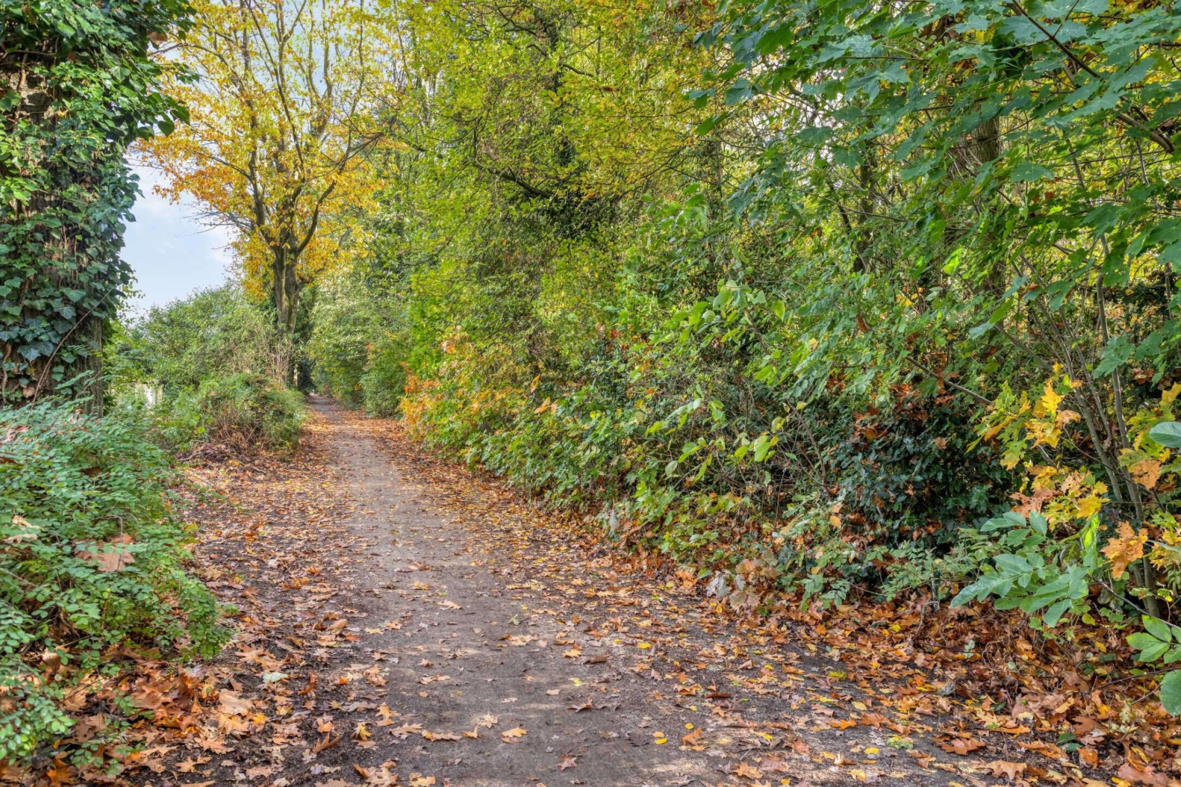 Provencehof 15 foto 52