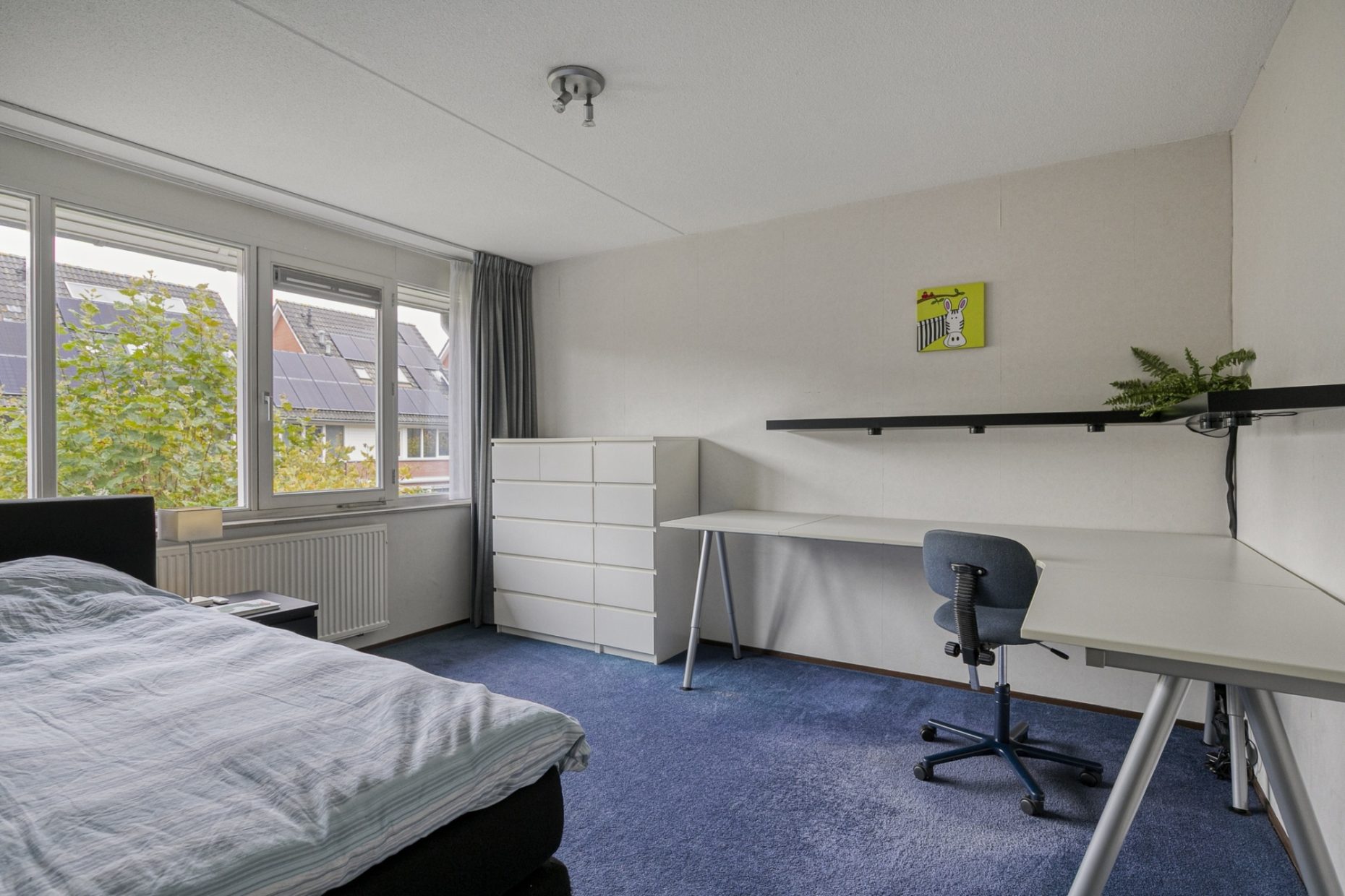 Sustenpas 29 foto 32