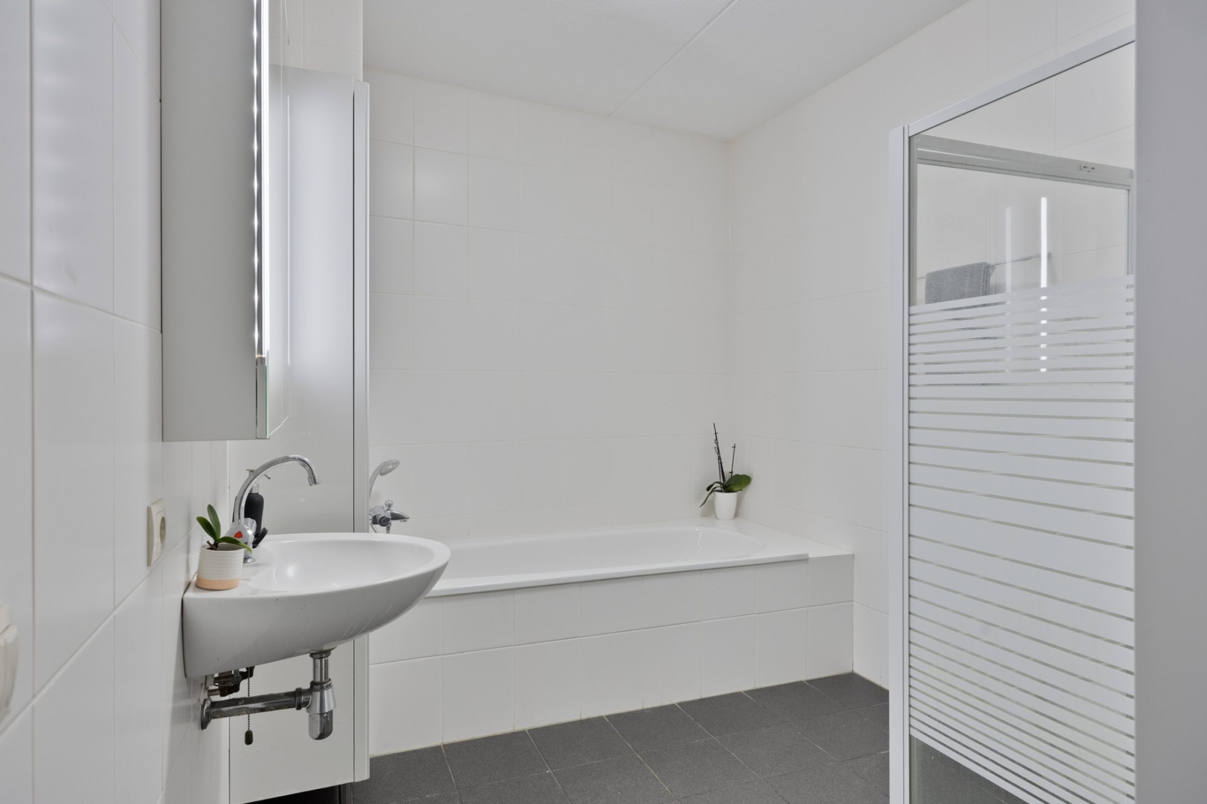 Vlasven 105 foto 18