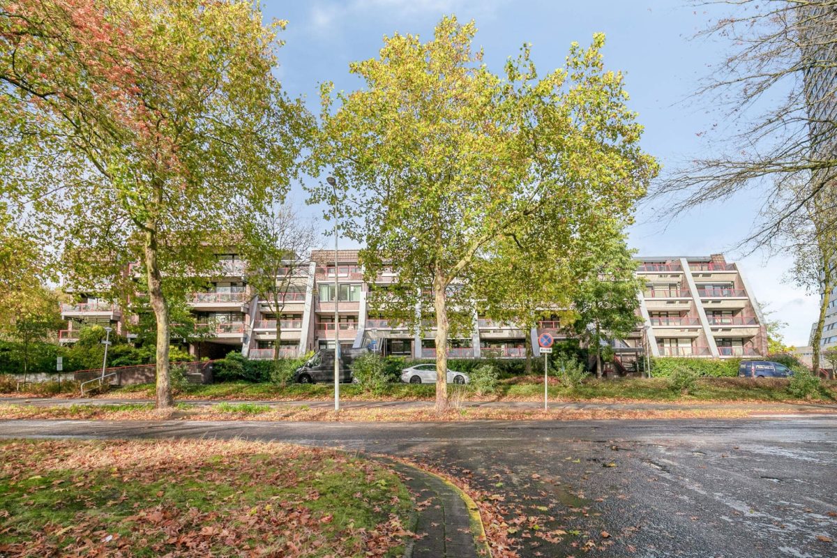 Borchmolen 30 foto 2