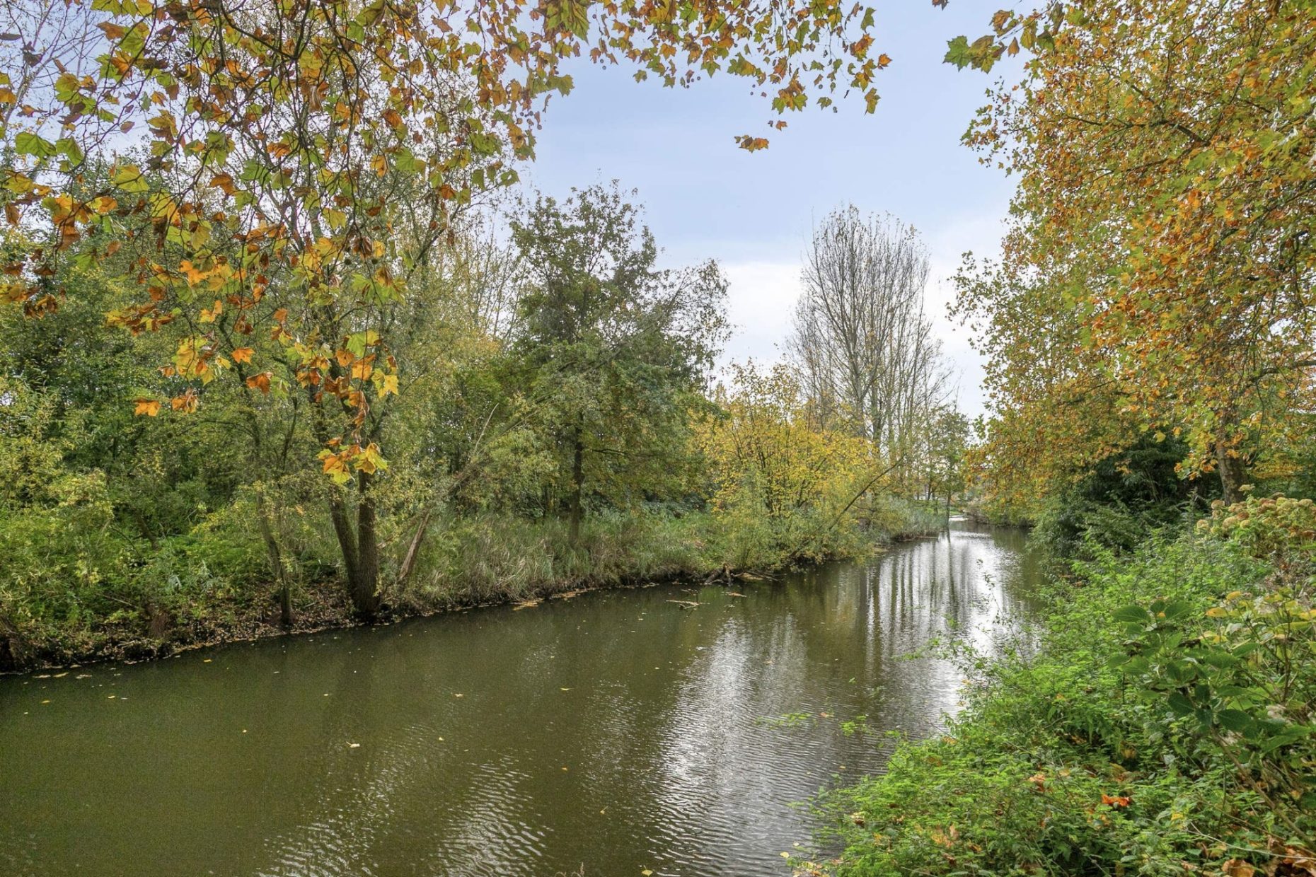 Eerschotsestraat 19a foto 40