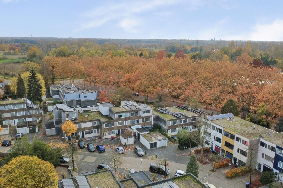 Haagbeemd 41 foto 48