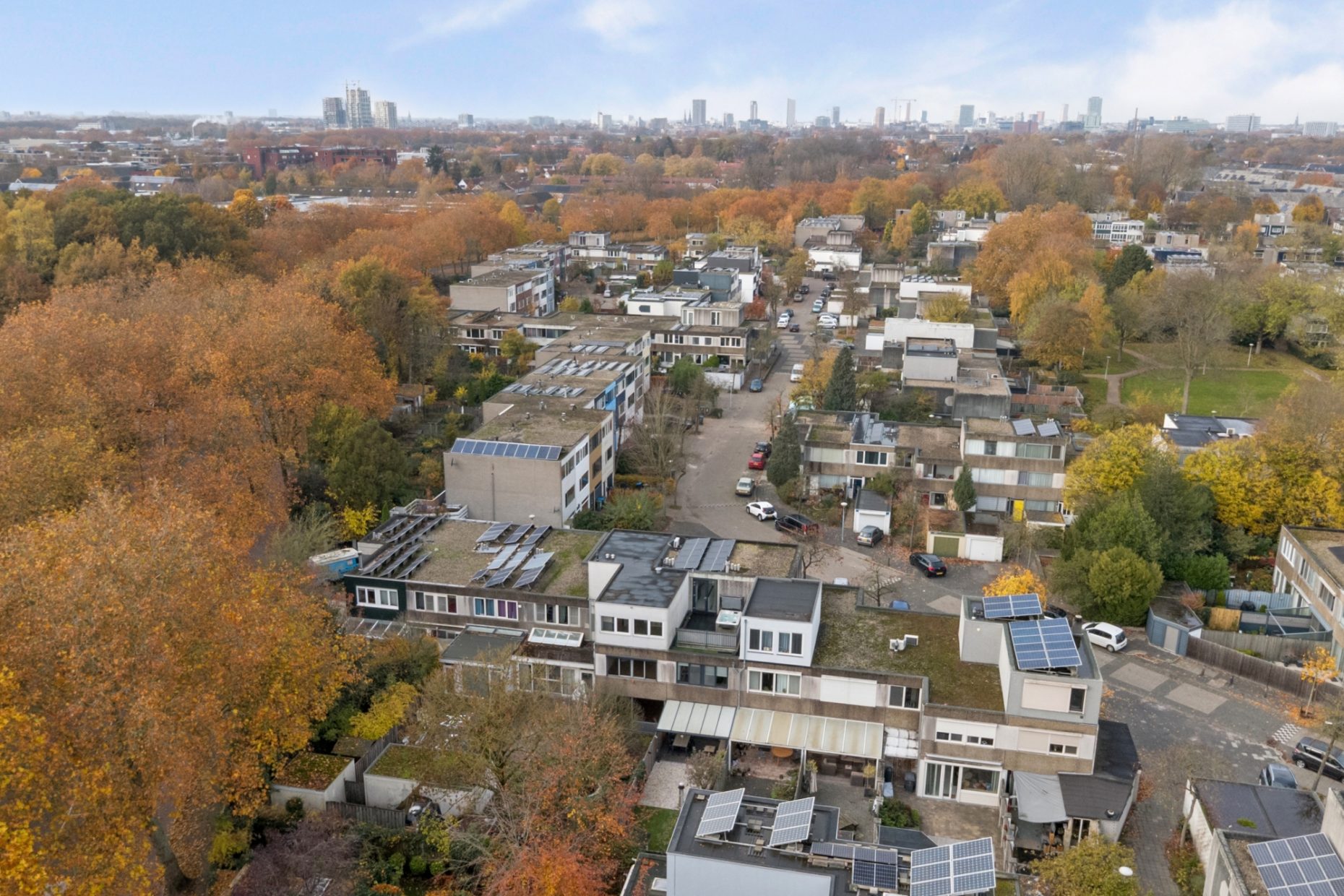 Haagbeemd 41 foto 50