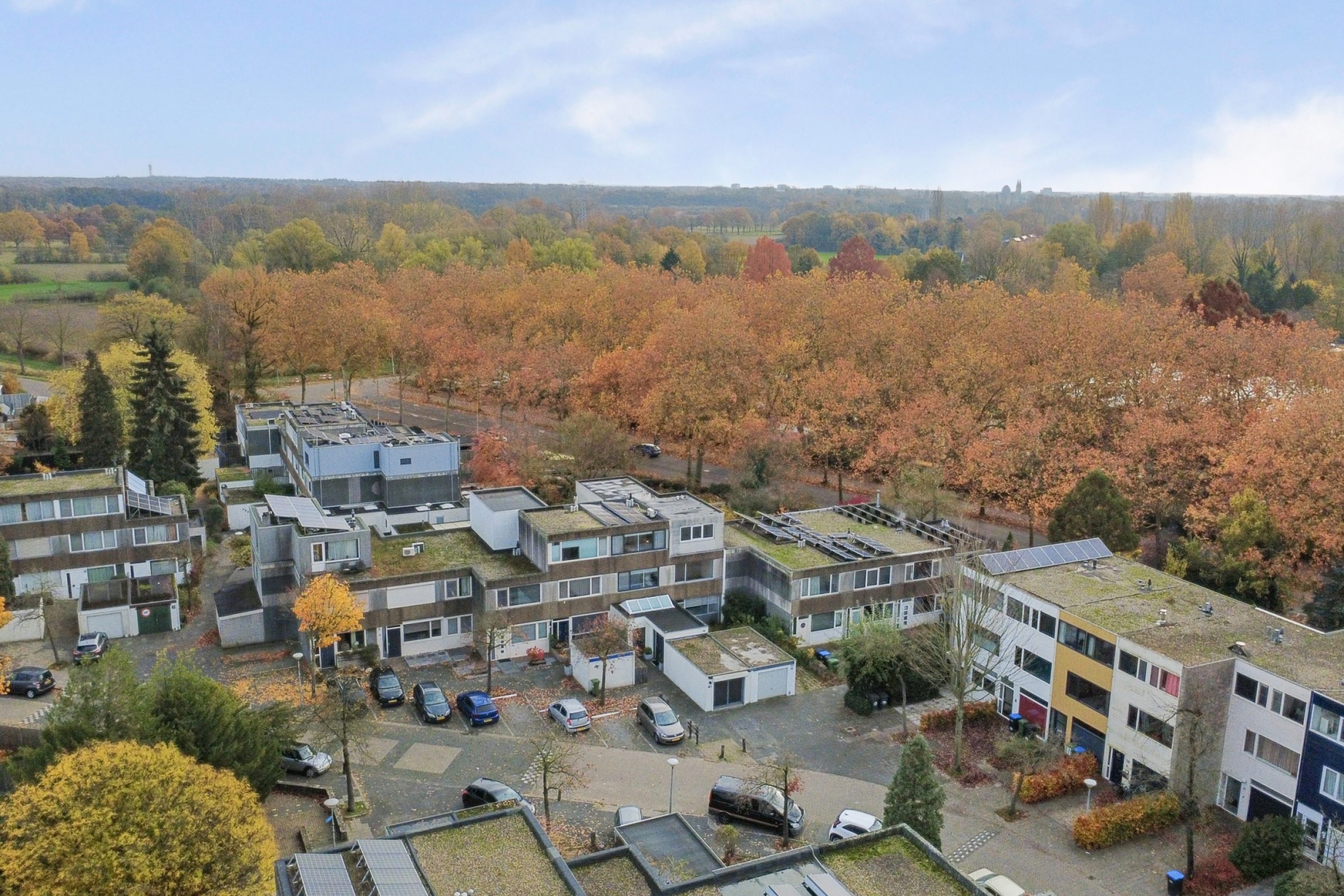 Haagbeemd 41 foto 48