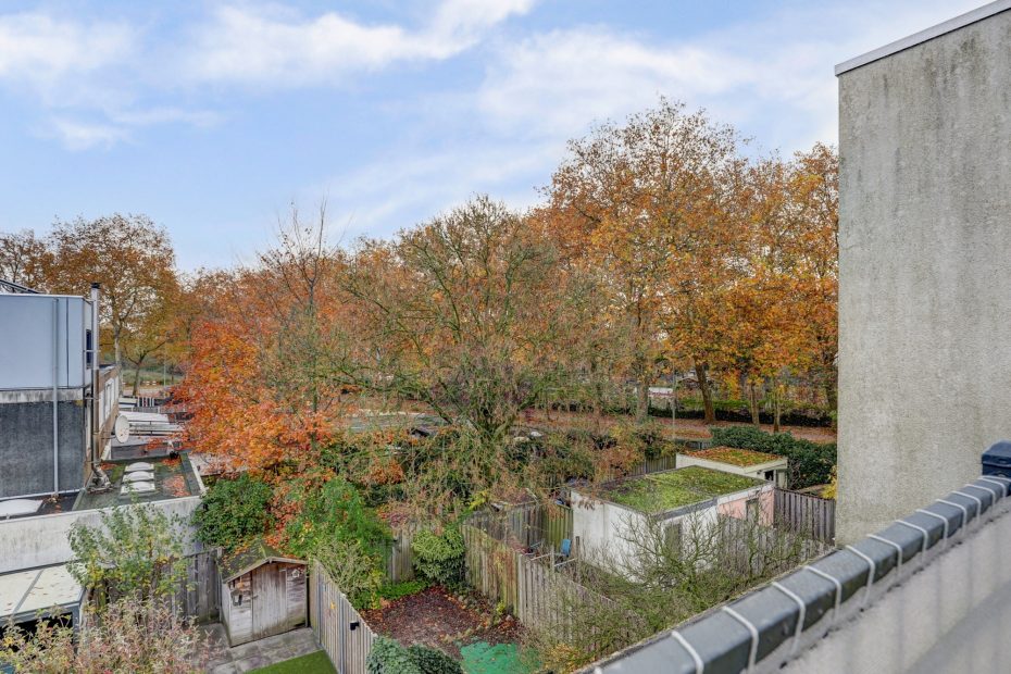 Haagbeemd 41 foto 37