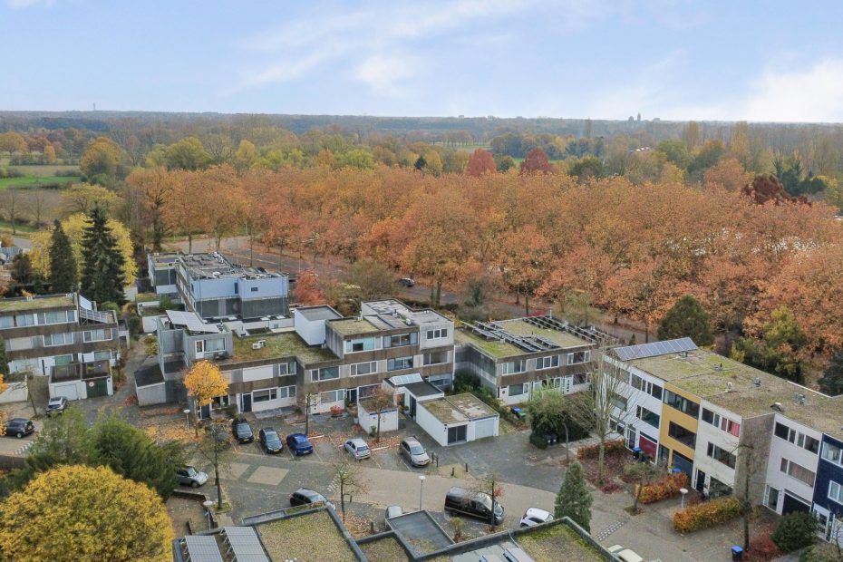 Haagbeemd 41 foto 48