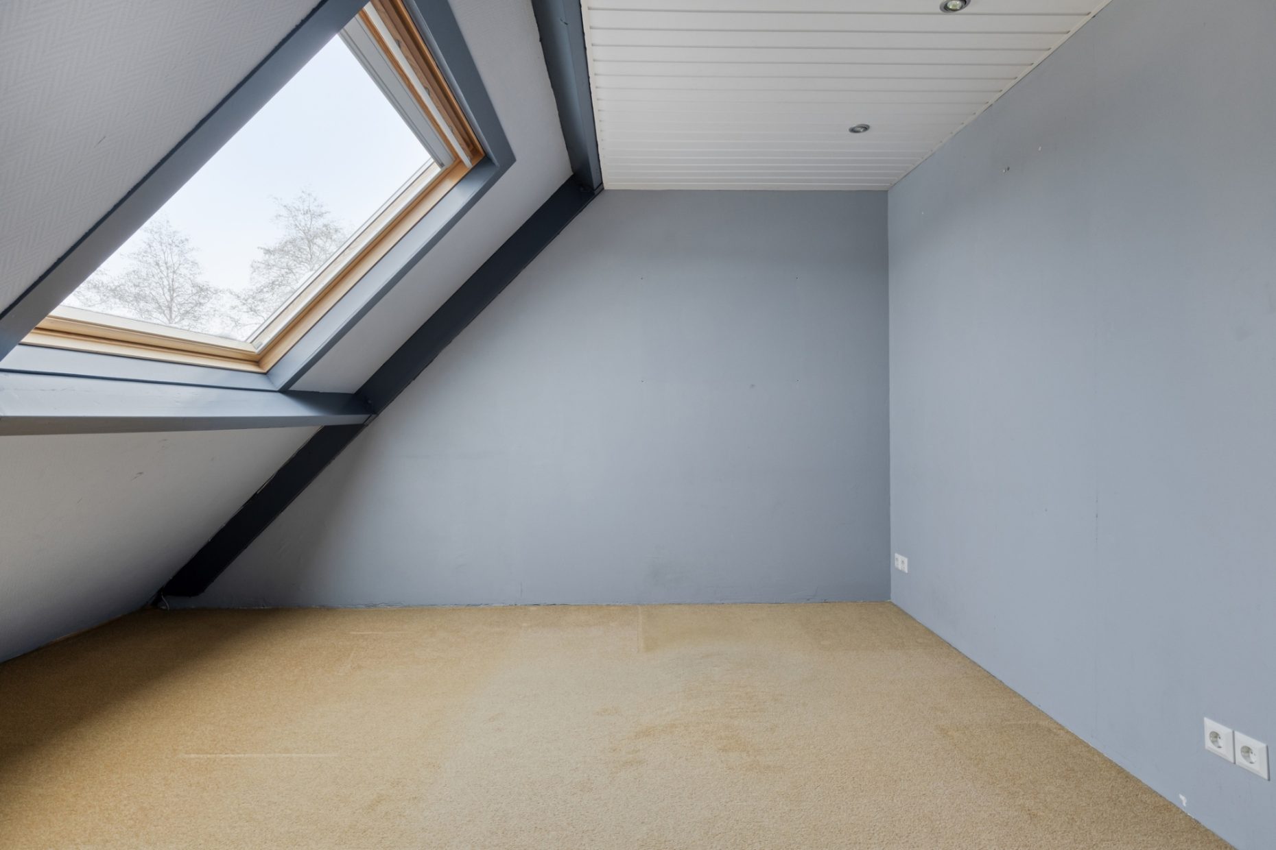 De Wadden 48 foto 30