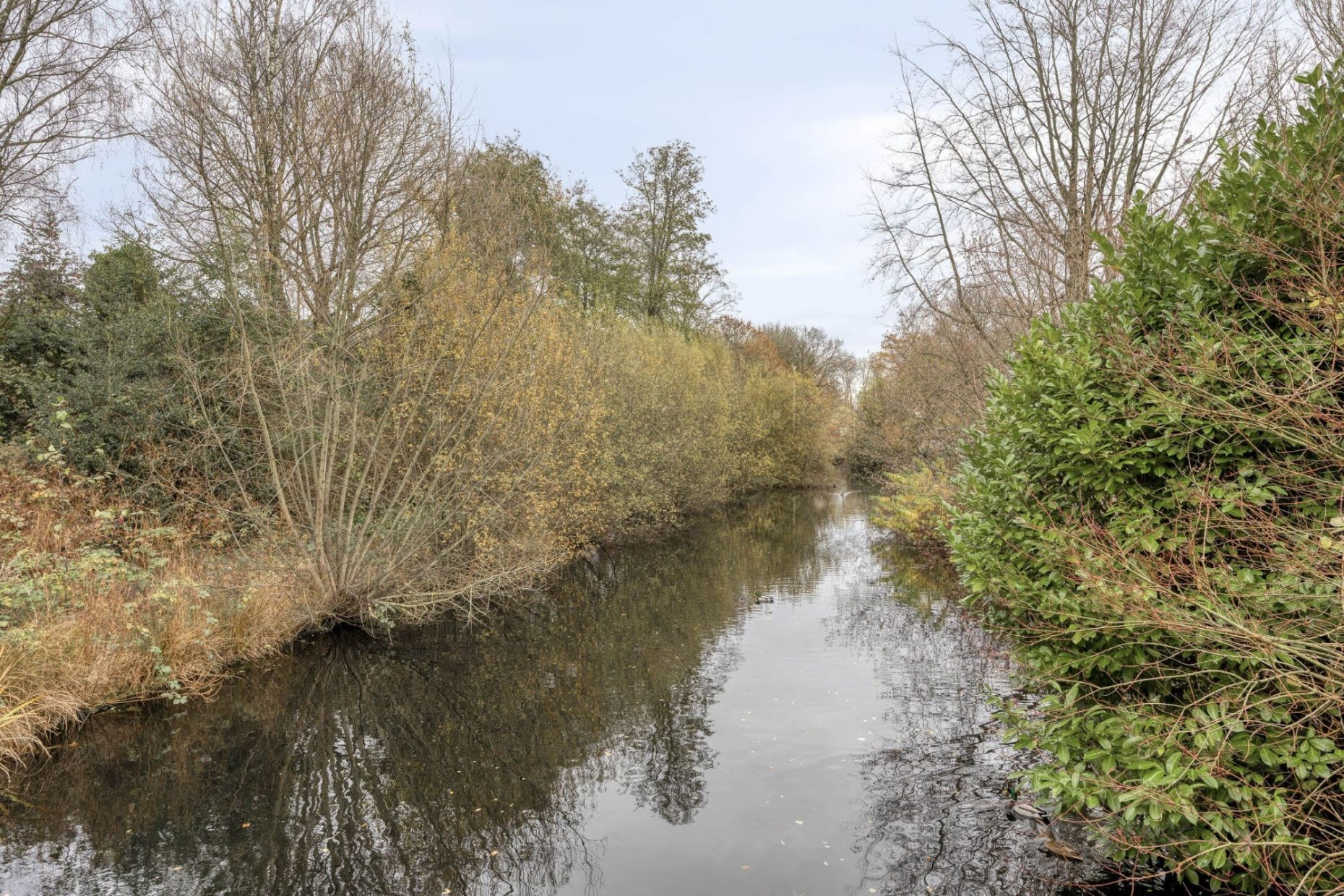 Fransebaan 78 foto 41