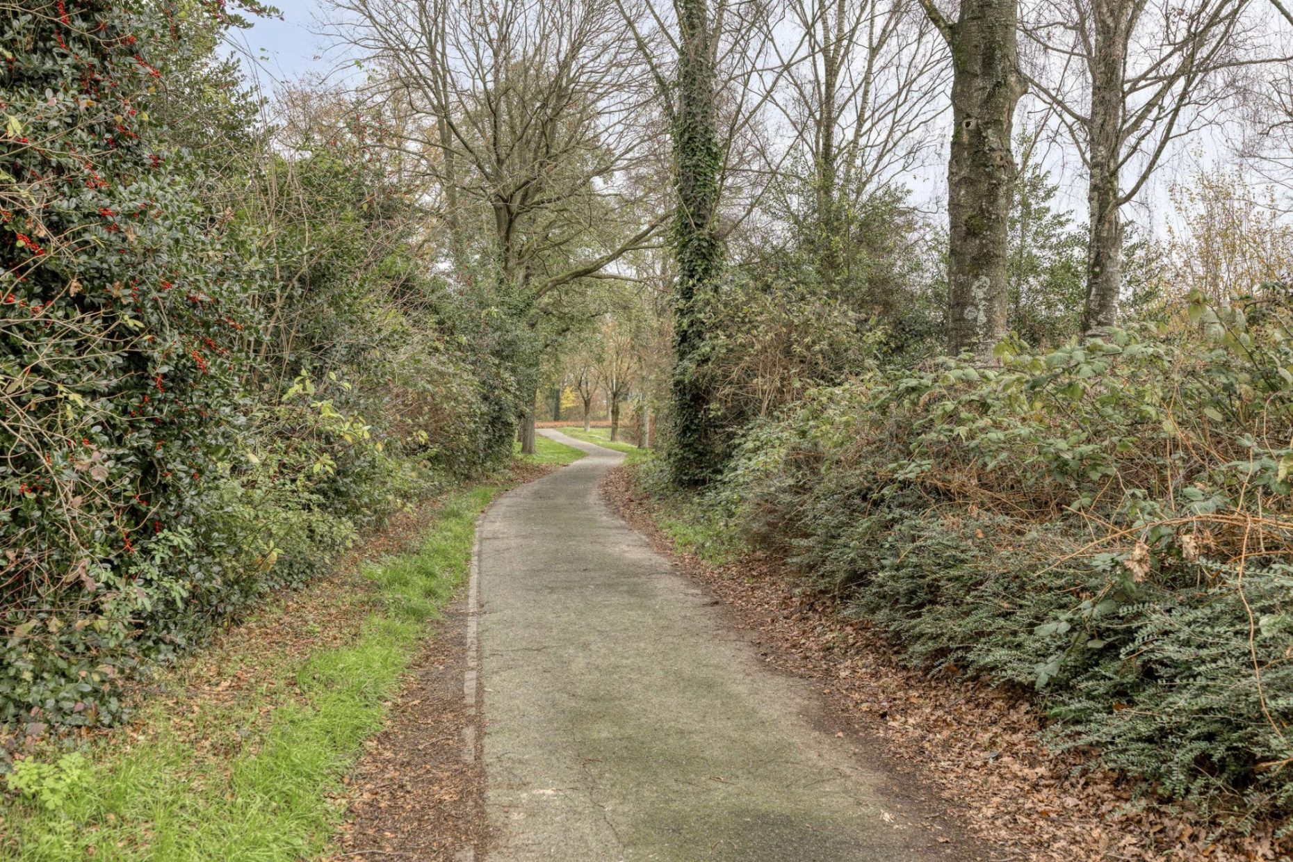 Fransebaan 78 foto 43