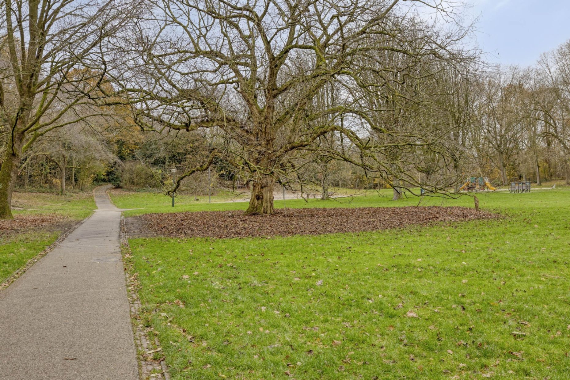 Maaseikstraat 3 foto 50