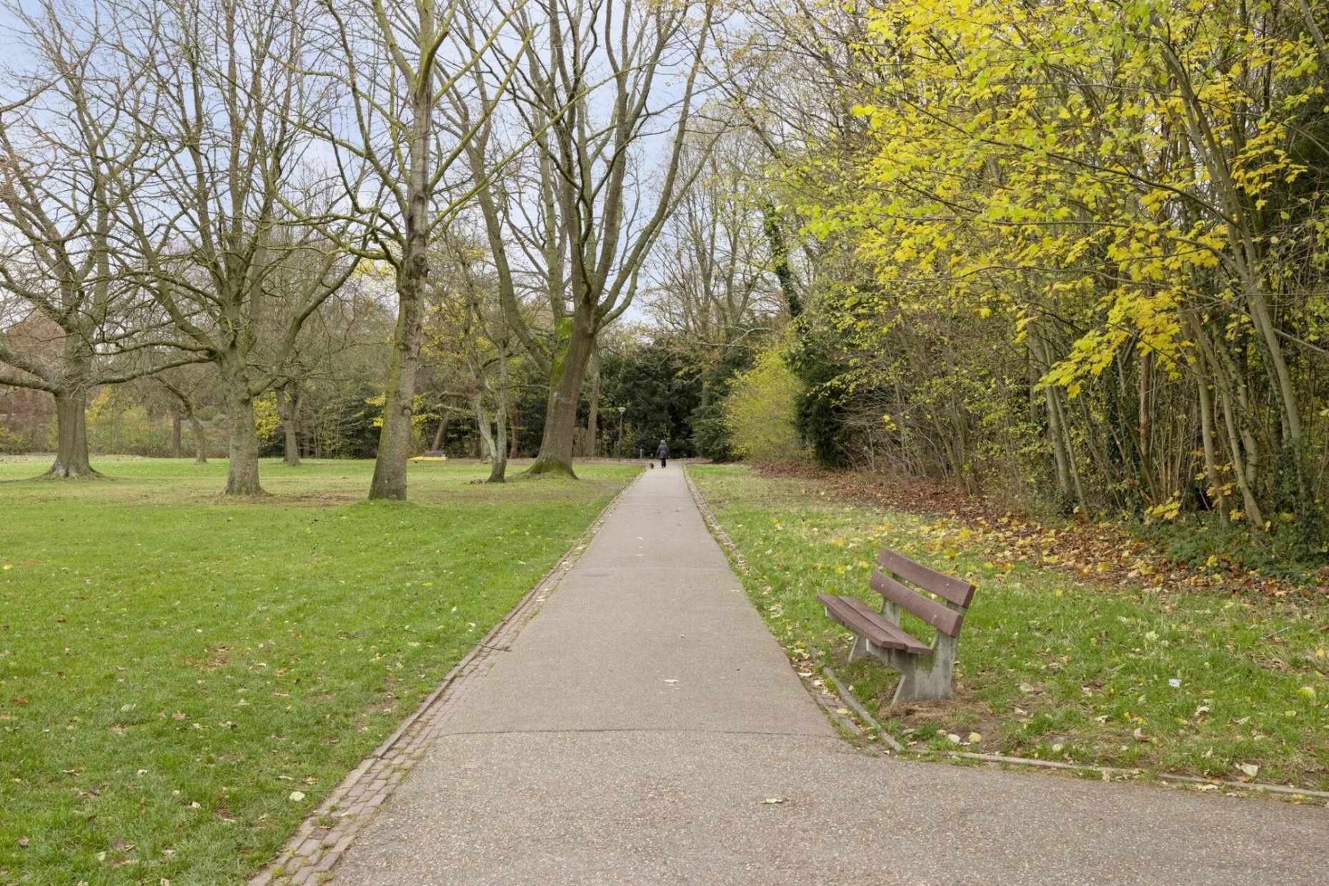 Maaseikstraat 3 foto 51