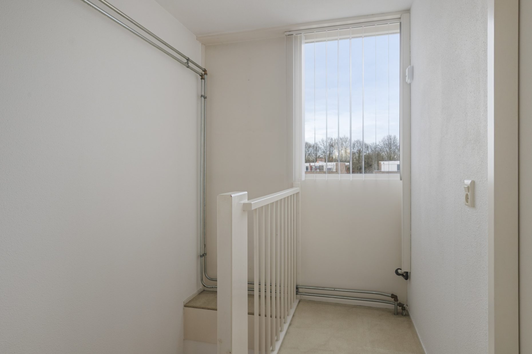 Roverbruidegom 9 foto 30