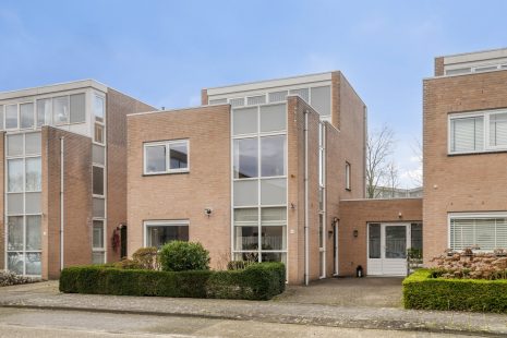 Roverbruidegom 9 hoofdfoto