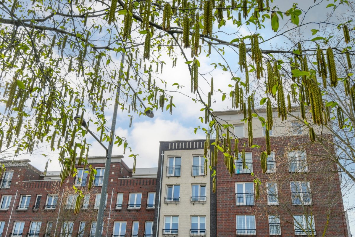 Frontonstraat 39 foto 30