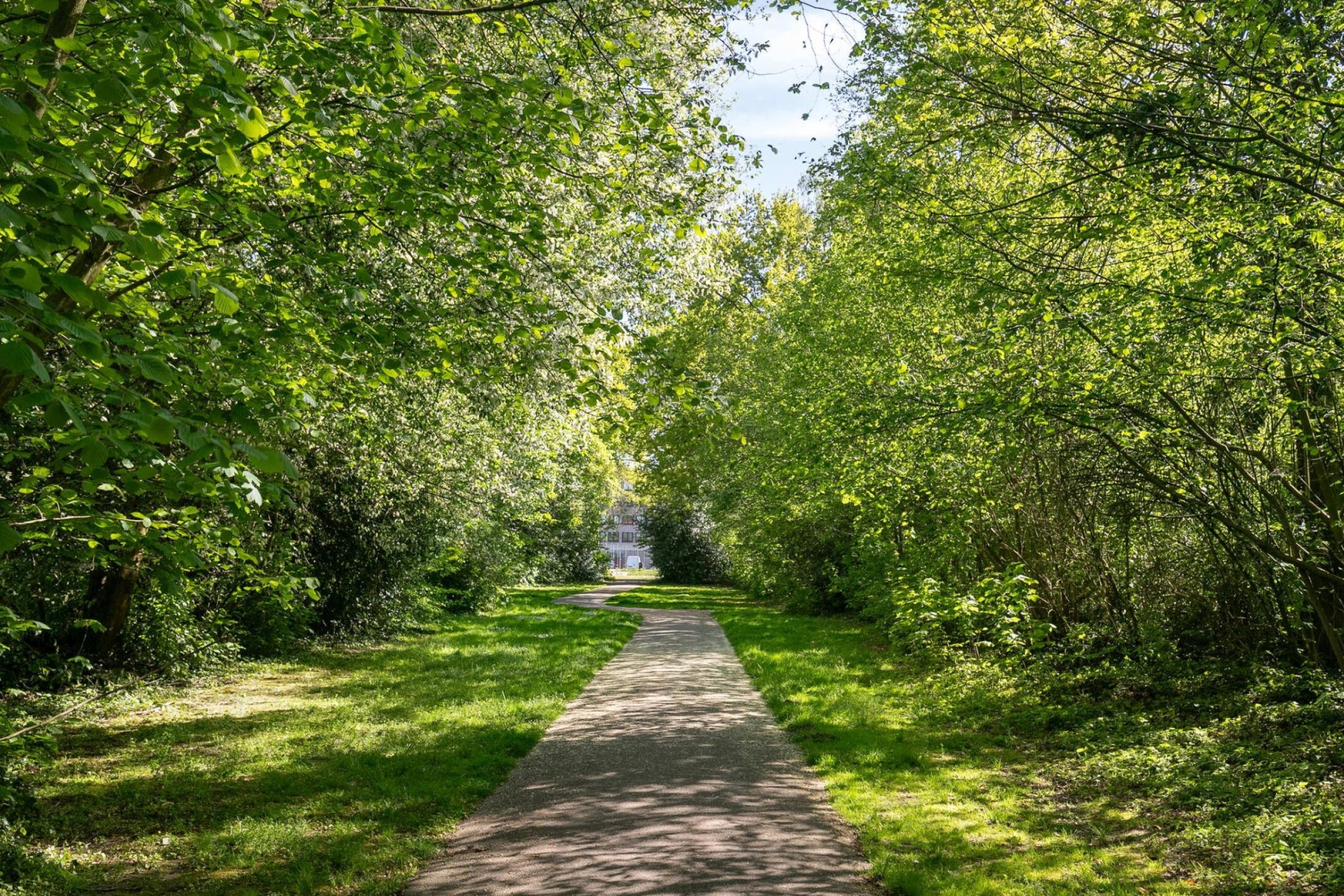 Nieuwpoortstraat 31 foto 53